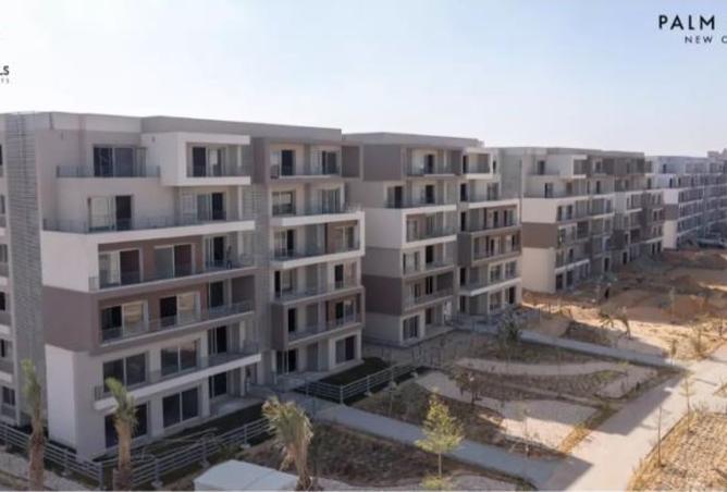 8148519 - Property Image 3