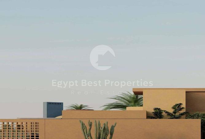8019965 - Property Image 3