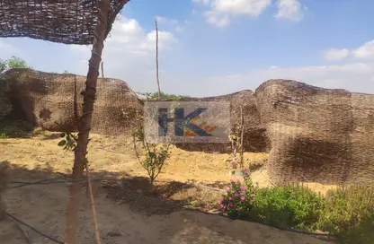 Farm - Studio for sale in Fayoum Desert road - 6 October City - Giza