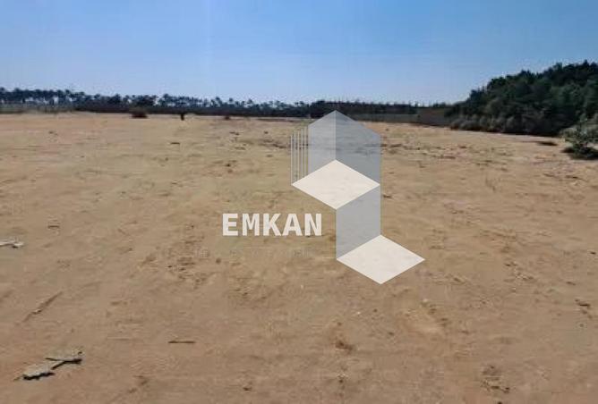 8561503 - صورة العقار 2