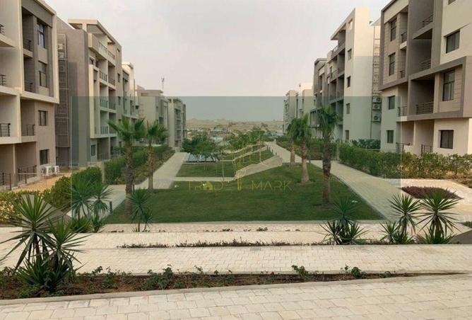 8353094 - Property Image 3