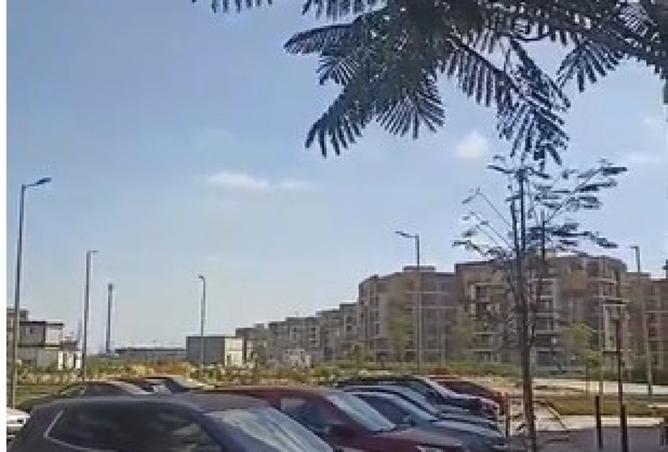 8087600 - Property Image 2