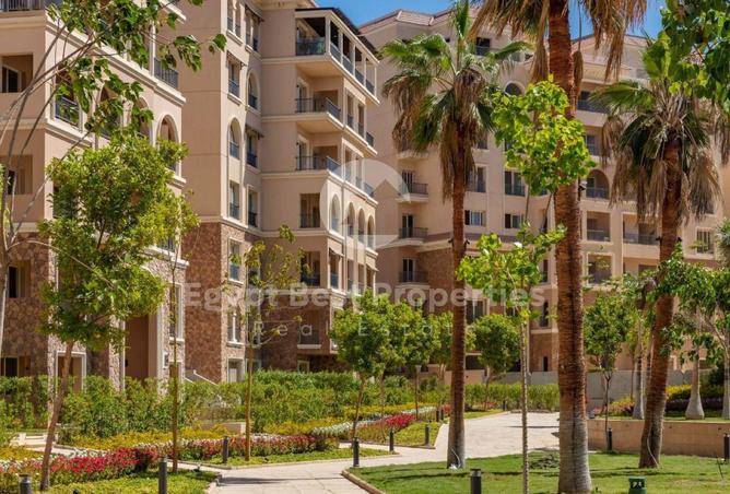 8449571 - Property Image 3