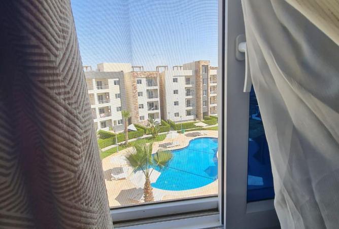 8437369 - Property Image 2