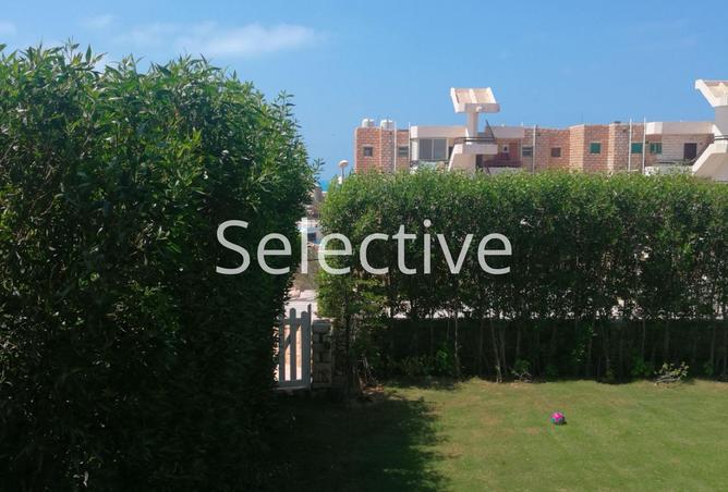8005616 - صورة العقار 2
