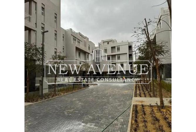 8090656 - Property Image 3