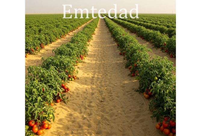 8257152 - Property Main Image