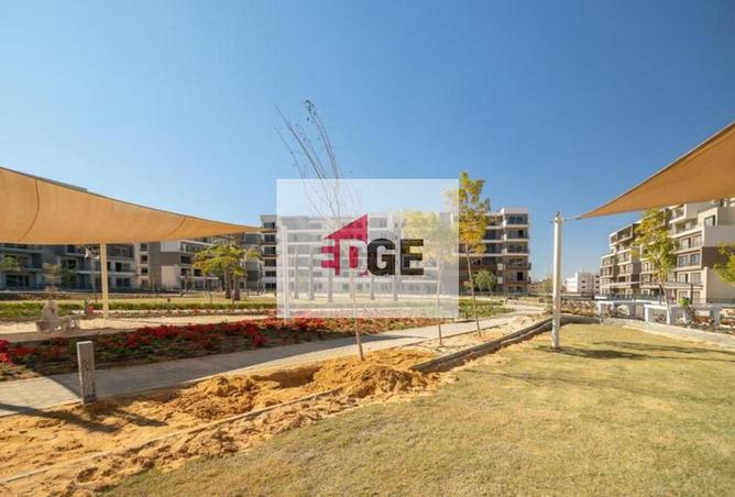 8446631 - Property Image 3