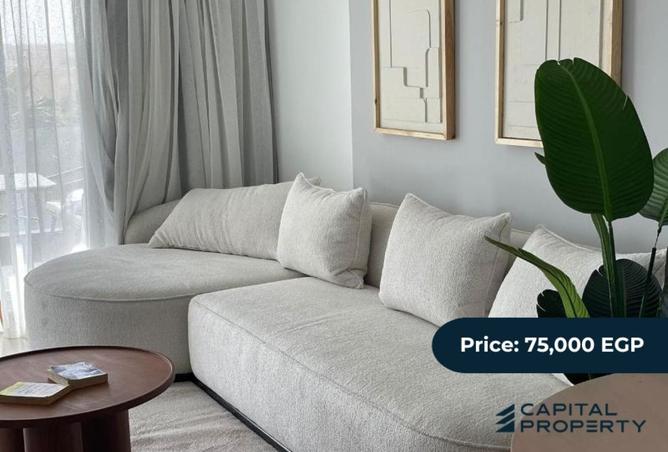 8254521 - Property Image 3