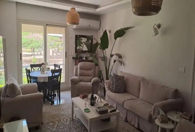 7996224 - Property Image 2
