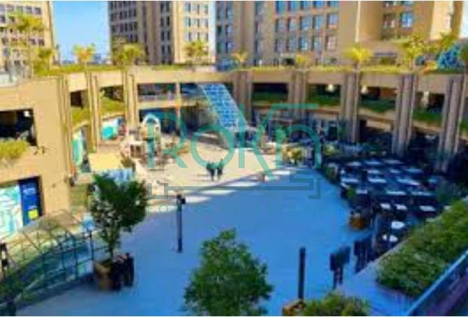 8395134 - Property Image 2