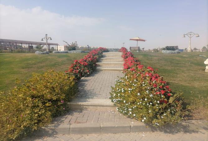 8388911 - صورة العقار 2