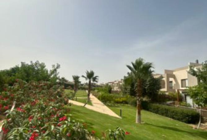 8287358 - Property Image 3