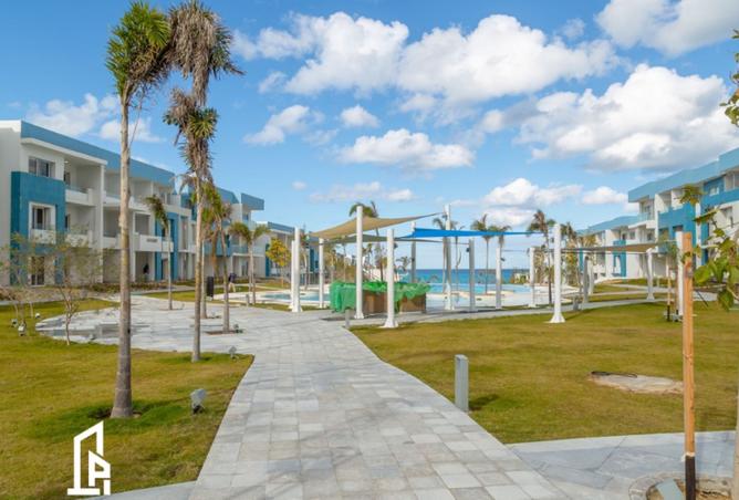 8241982 - صورة العقار 3