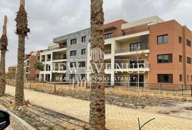 8334091 - Property Image 3