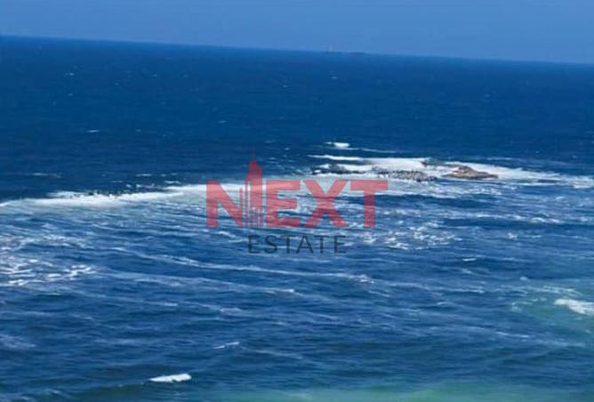 7834736 - Property Main Image