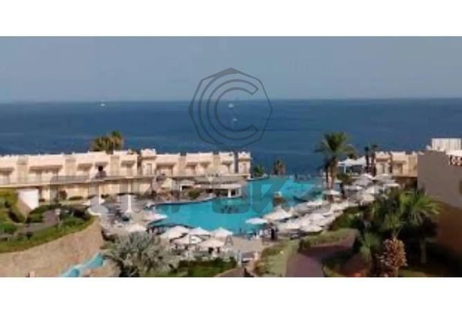 8201382 - Property Image 3