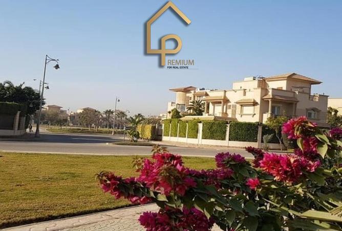 8186545 - Property Image 3