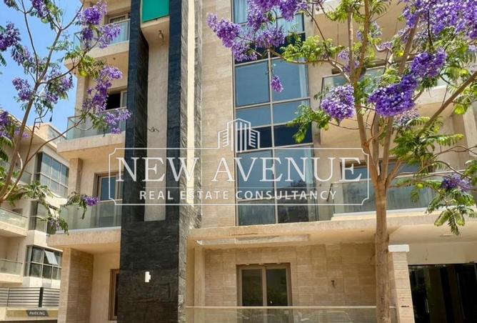 7345715 - Property Image 2