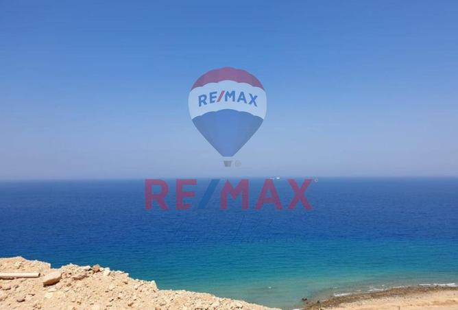 8066800 - Property Image 3
