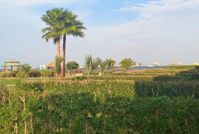 8135739 - Property Main Image