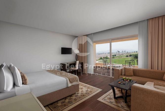 8164260 - Property Image 3