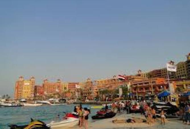 7950313 - صورة العقار 2