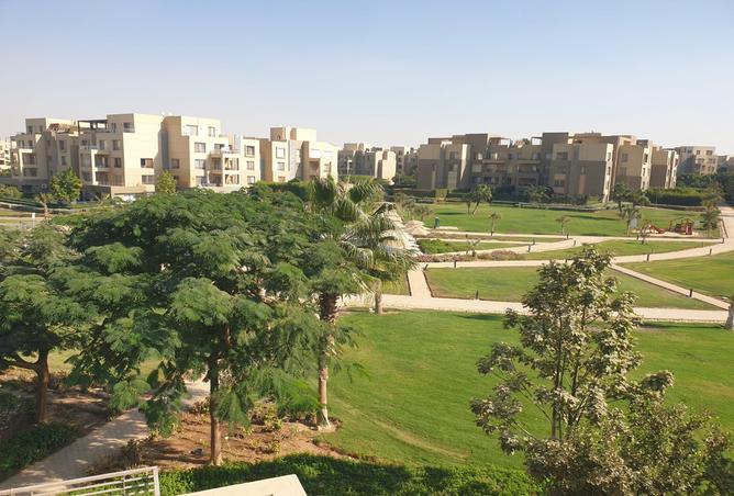 8372574 - صورة العقار 2