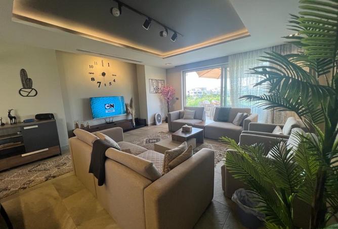 8176550 - Property Image 3