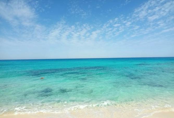 8372548 - صورة العقار 2