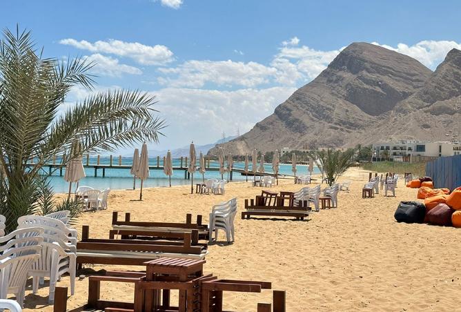 8011429 - صورة العقار 3