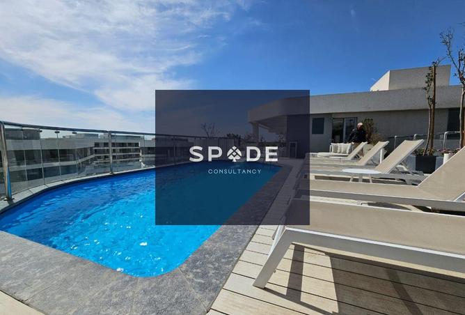 8504368 - Property Image 2