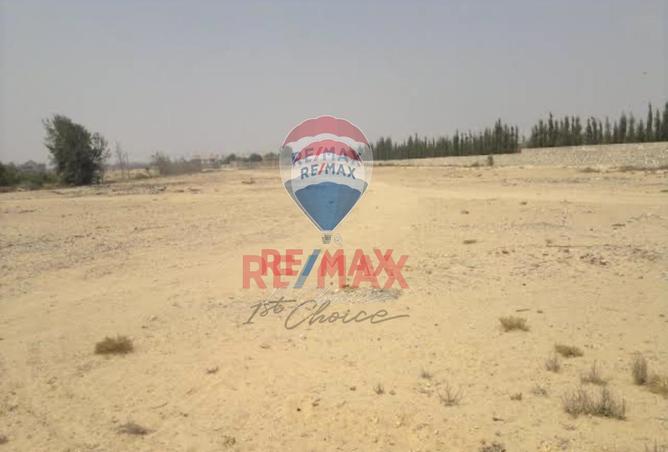 7974378 - Property Image 2