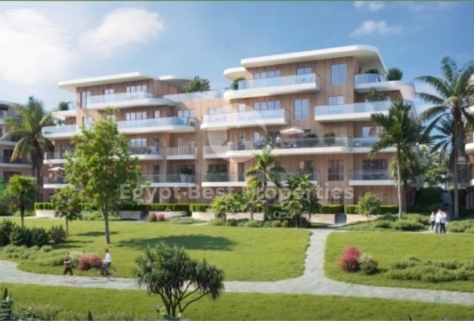 8202914 - صورة العقار 2