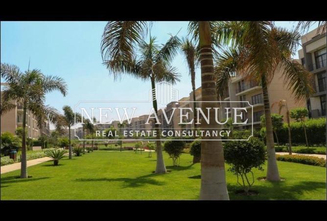 8219724 - Property Image 2