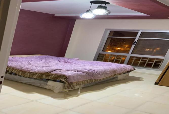 7985216 - Property Image 2