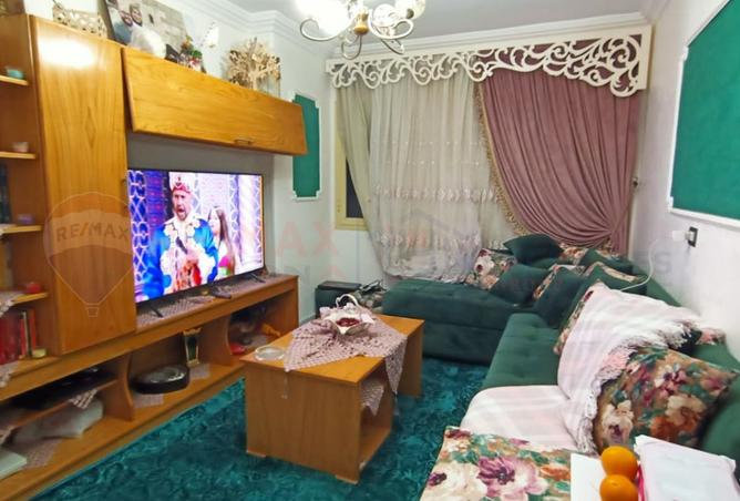 7897595 - Property Image 3