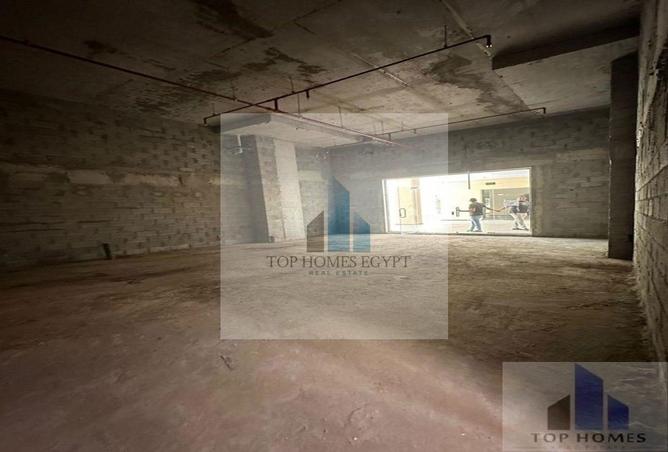 8319581 - Property Image 3