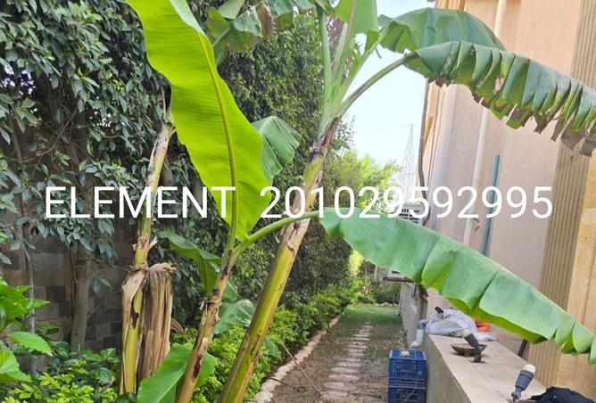 7949503 - Property Image 3