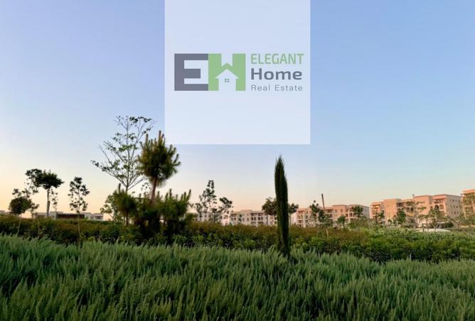 8018609 - Property Image 3