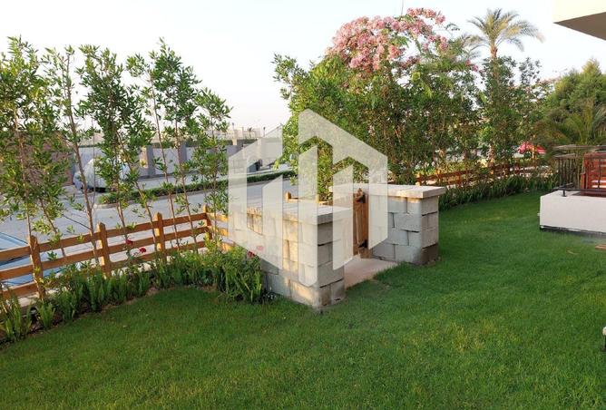 8109647 - صورة العقار 3