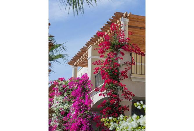 8476964 - صورة العقار 3