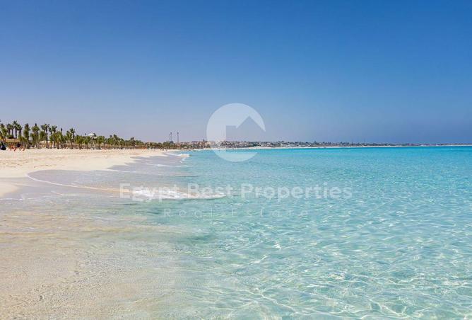 8012985 - Property Image 3
