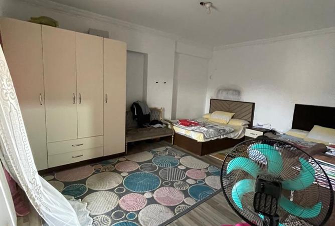 8464229 - Property Image 2