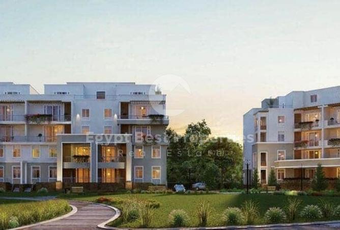 8386488 - Property Image 3