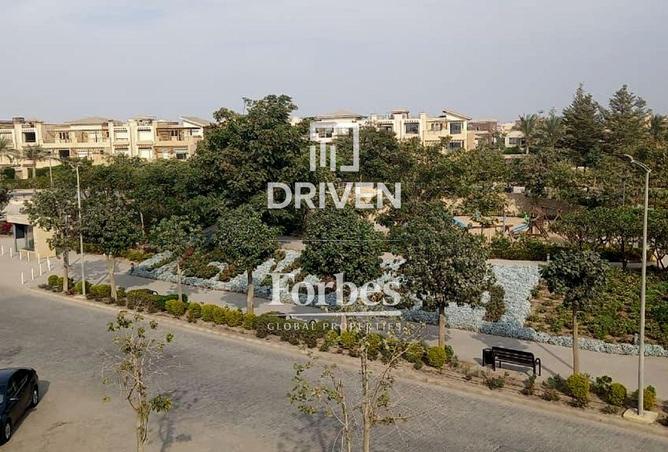 8260773 - Property Image 3