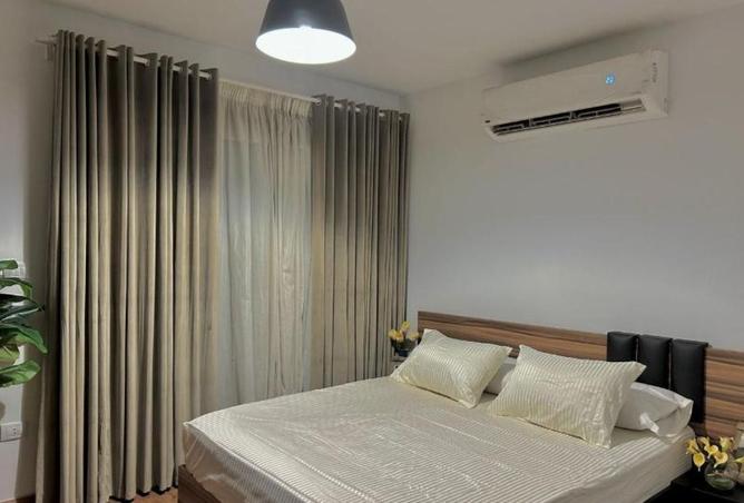 8213793 - Property Image 3