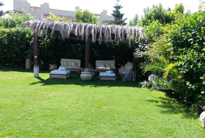 8504050 - صورة العقار 3