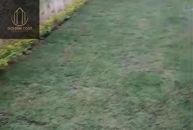 7892303 - الصورة الرئيسية للعقار