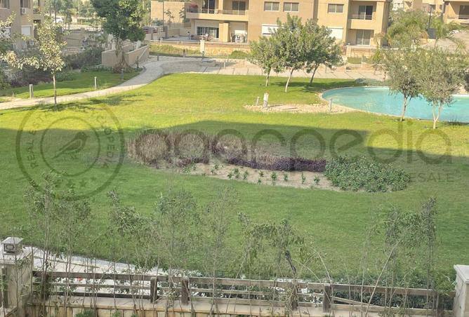 8290598 - Property Image 2